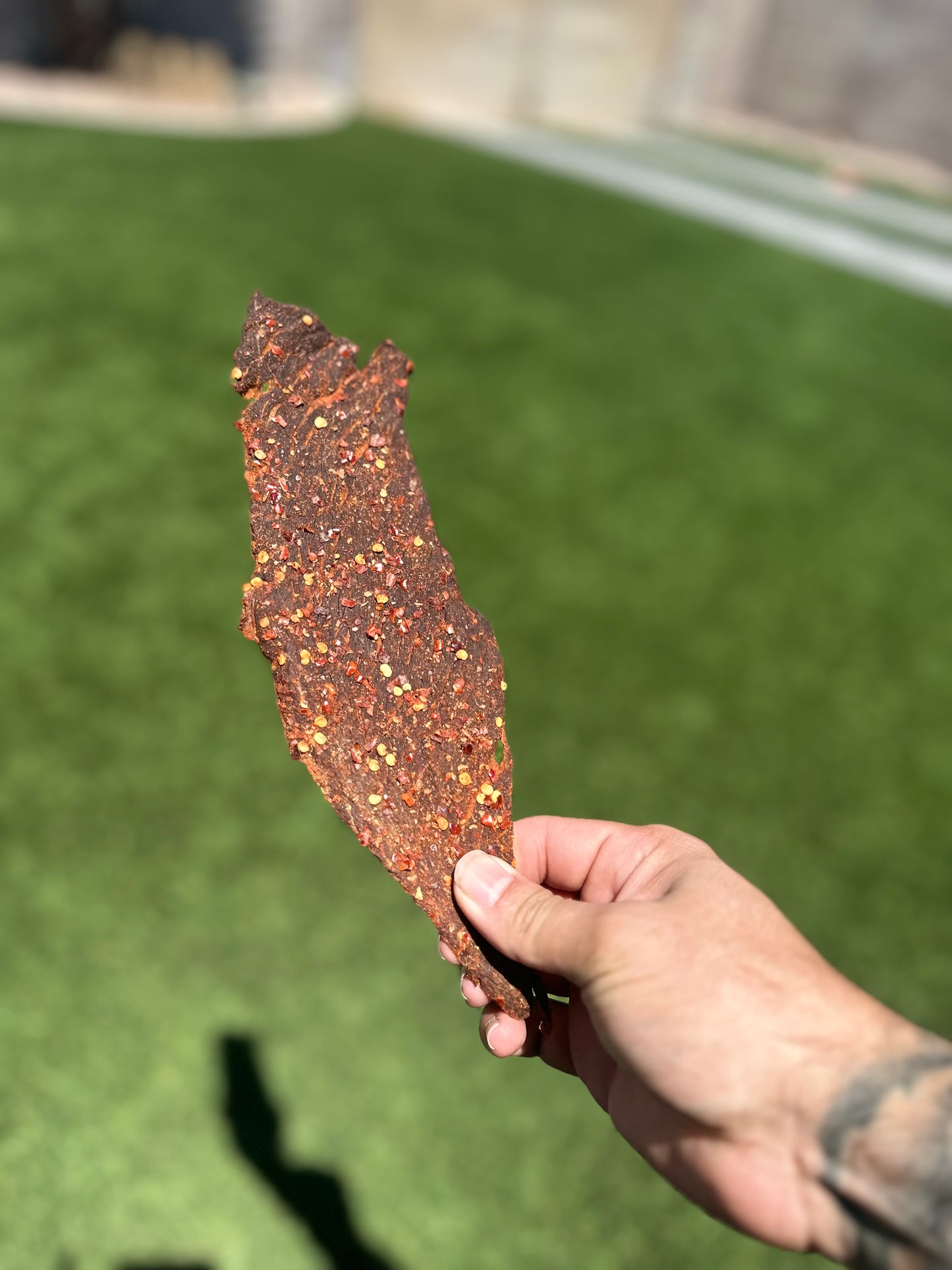 Spicy Adobada
